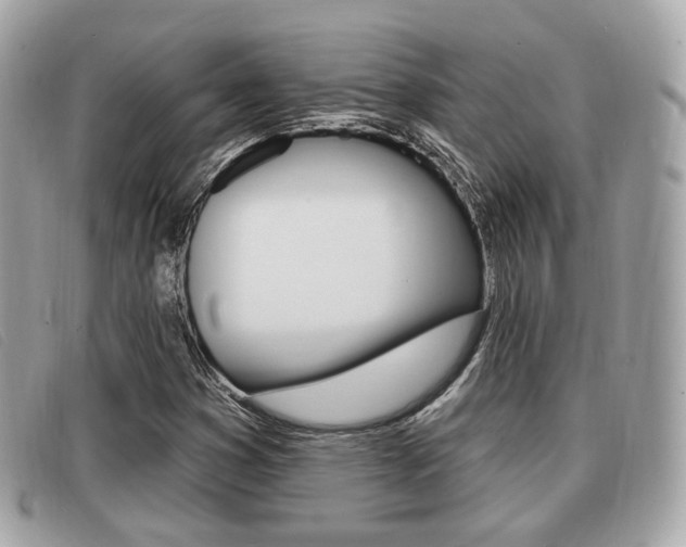 X0000091531353200708170941