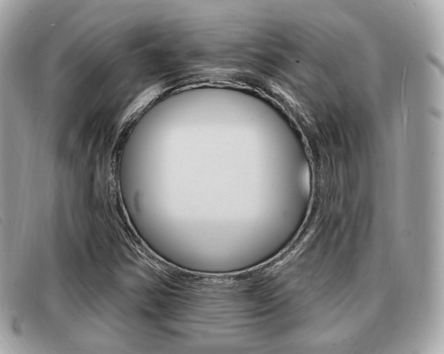 X0000091531354200708170941