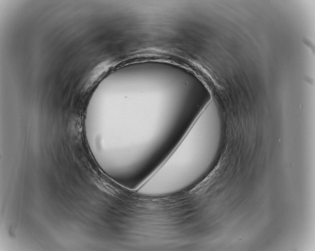 X0000091531355200708170941