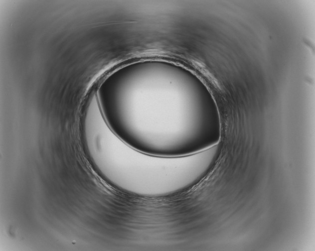 X0000091531356200708170941