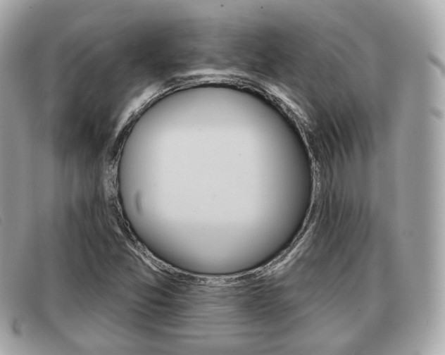 X0000091531357200708170941
