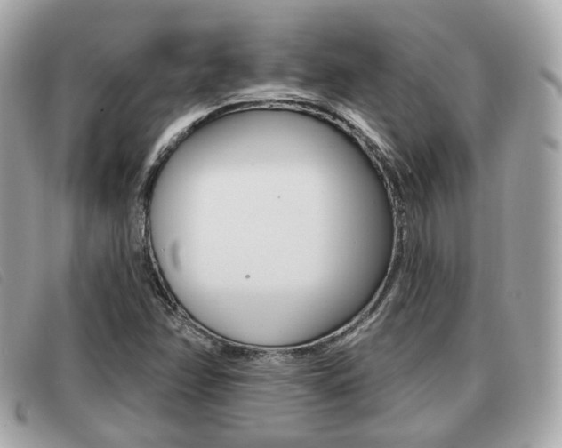 X0000091531358200708170941