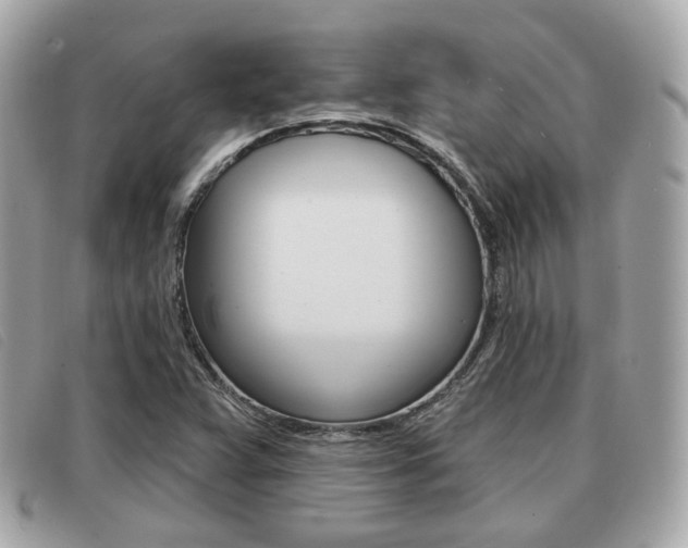X0000091531359200708170941