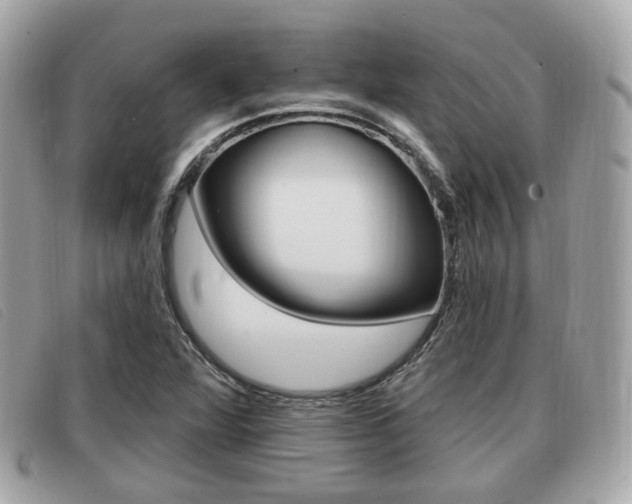 X0000091531360200708170941