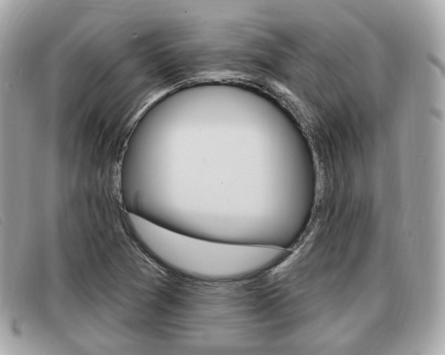 X0000091531361200708170941