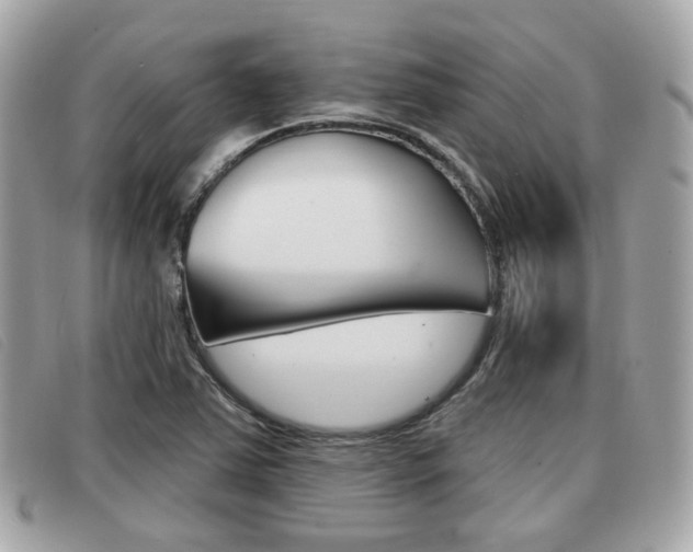 X0000091531363200708170941