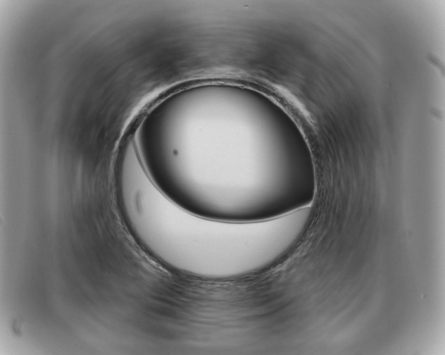X0000091531364200708170941