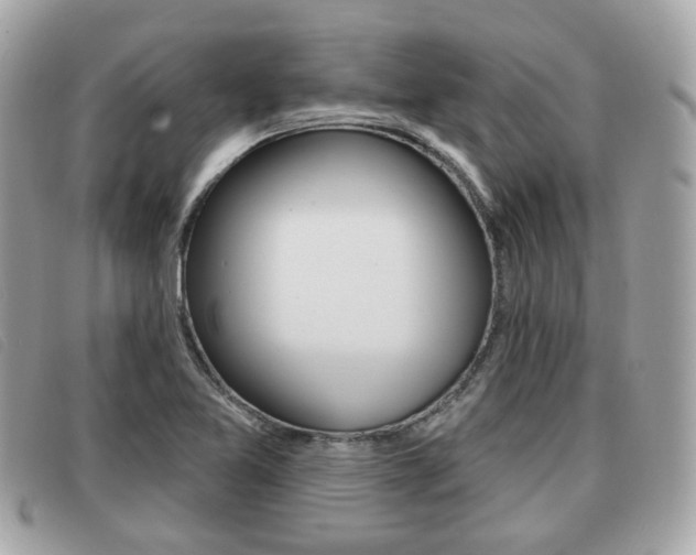 X0000091531365200708170941
