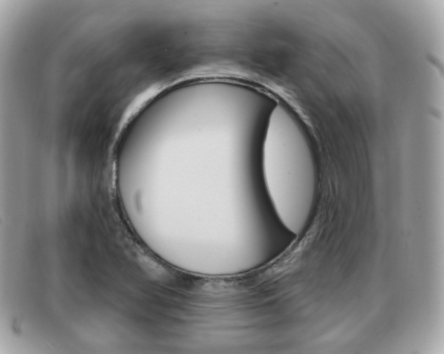 X0000091531366200708170941