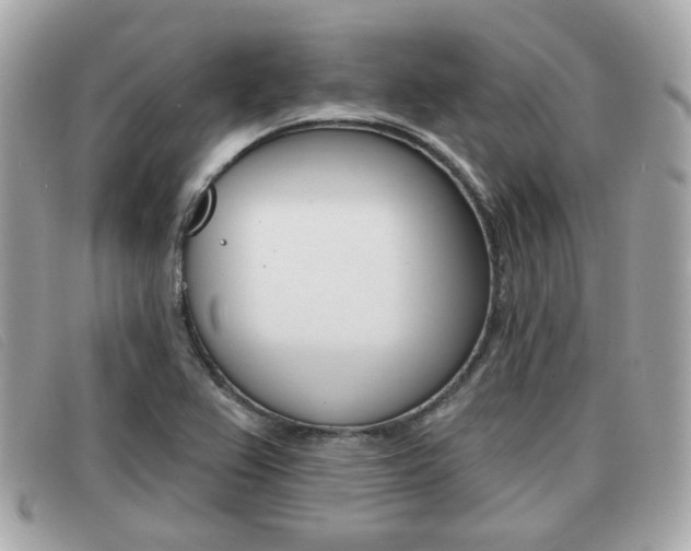 X0000091531367200708170941