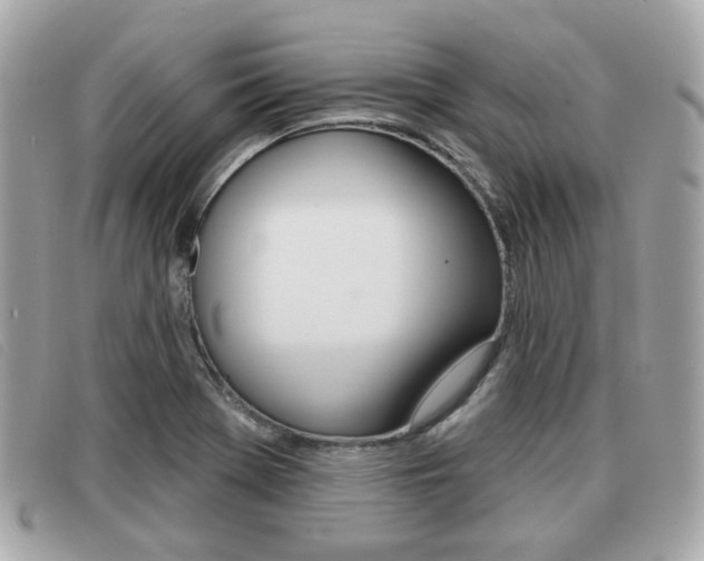X0000091531369200708170941