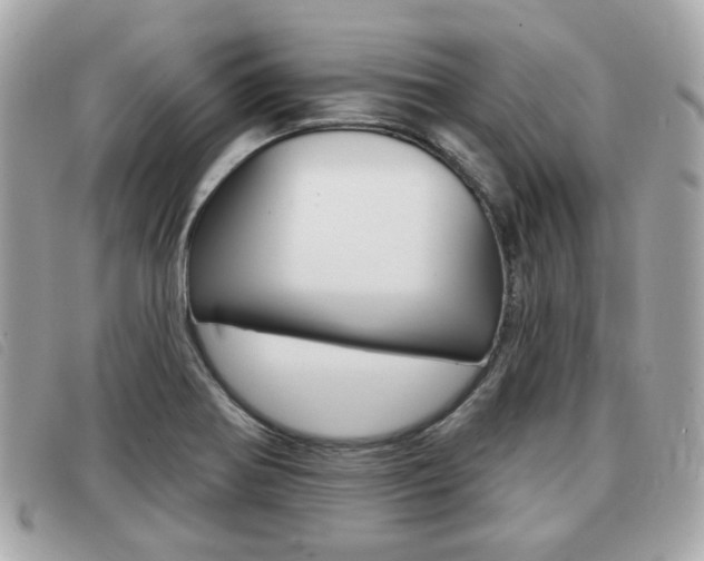 X0000091531370200708170941