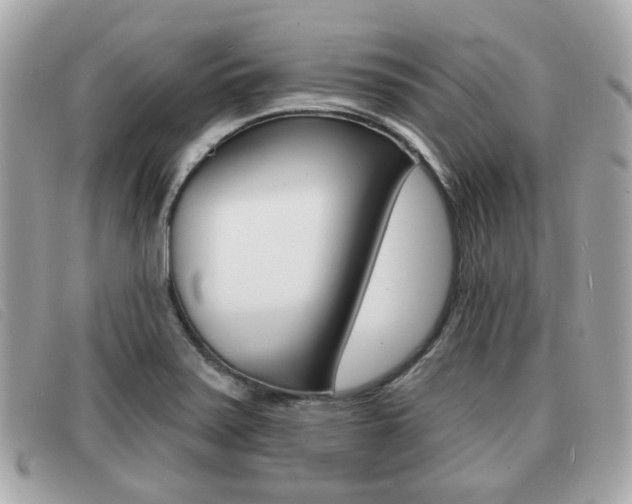 X0000091531371200708170941