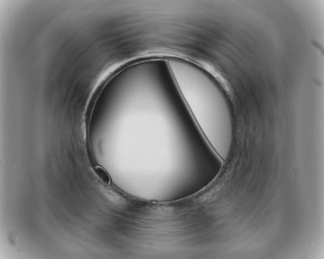 X0000091531372200708170941