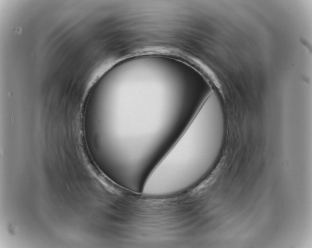 X0000091531373200708170941