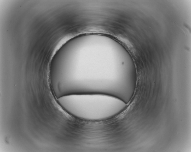 X0000091531374200708170941