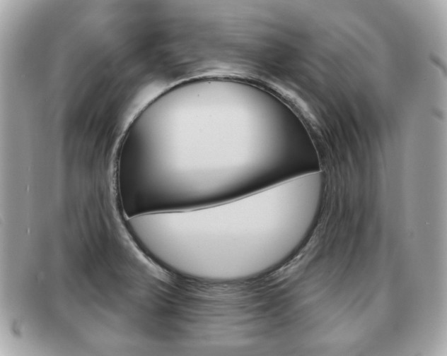 X0000091531375200708170941