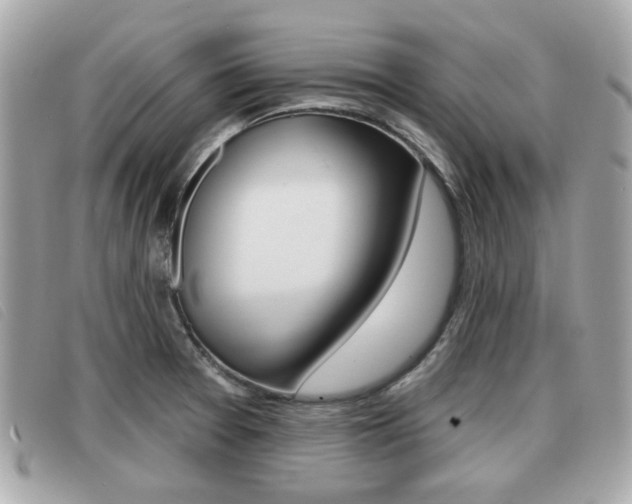 X0000091531377200708170941