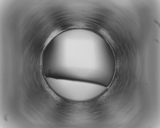 X0000091531378200708170941