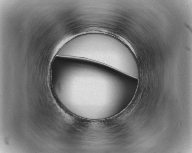 X0000091531379200708170941