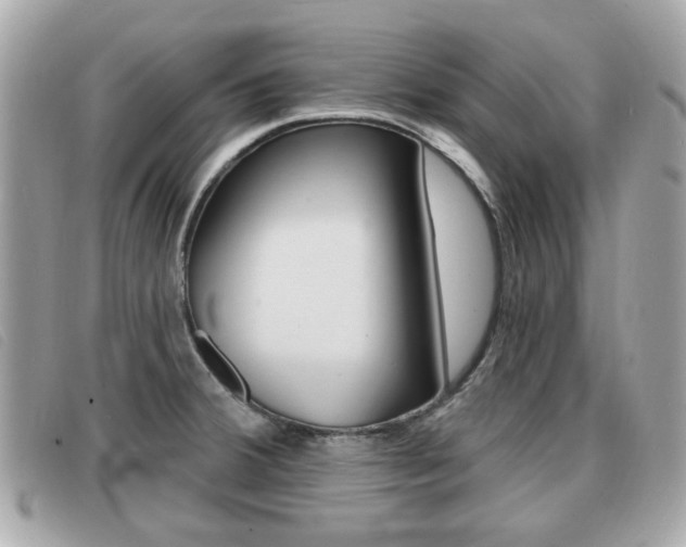 X0000091531380200708170941