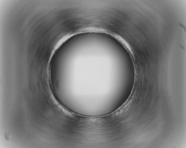 X0000091531381200708170941