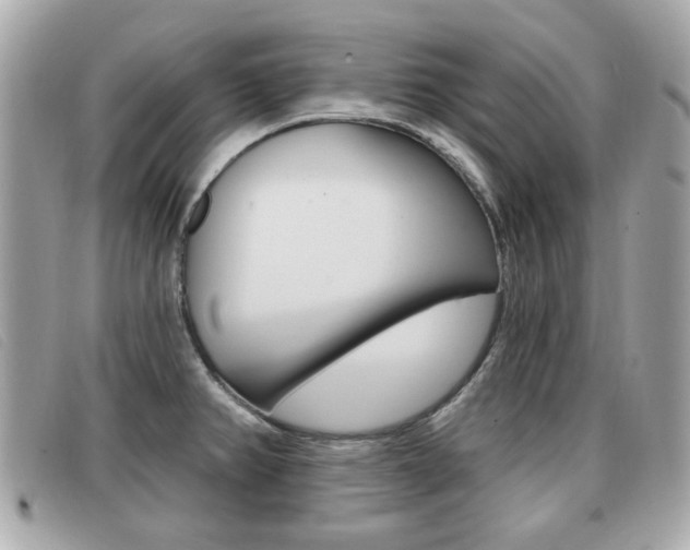 X0000091531382200708170941