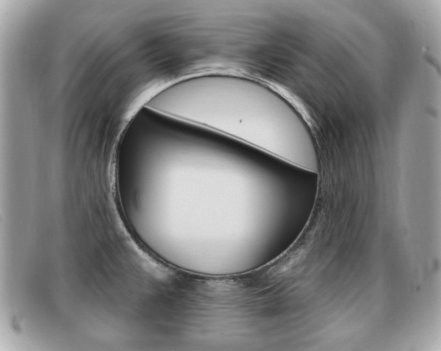 X0000091531383200708170941