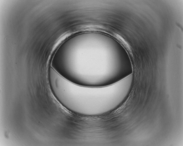 X0000091531384200708170941