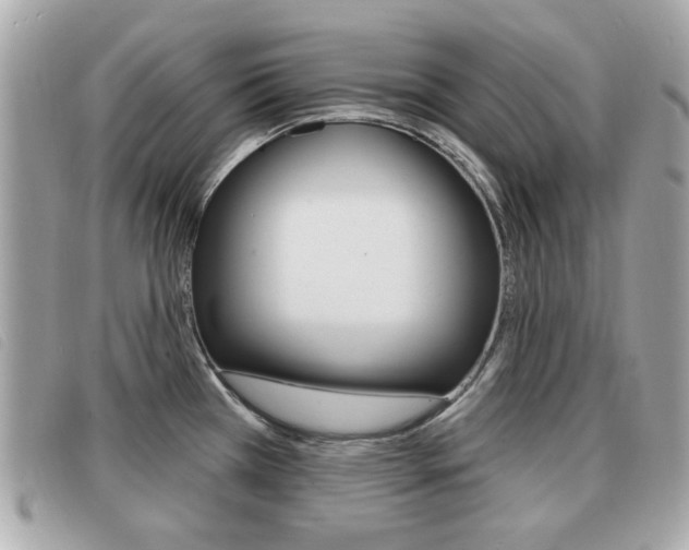 X0000091531385200708170941