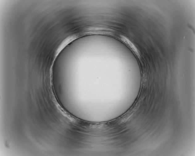 X0000091531386200708170941