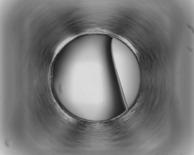 X0000091531387200708170941