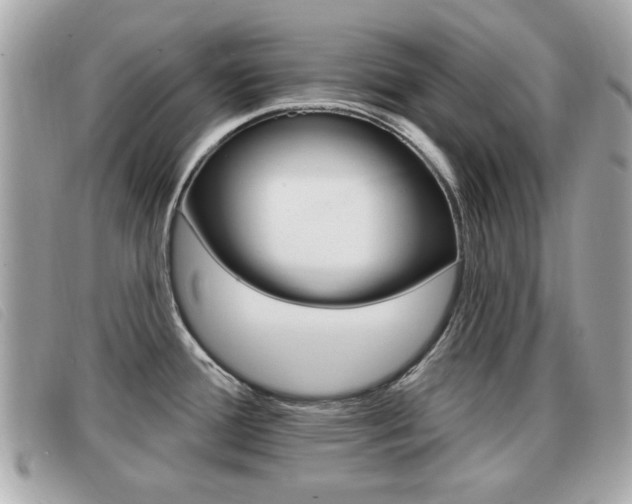 X0000091531388200708170941