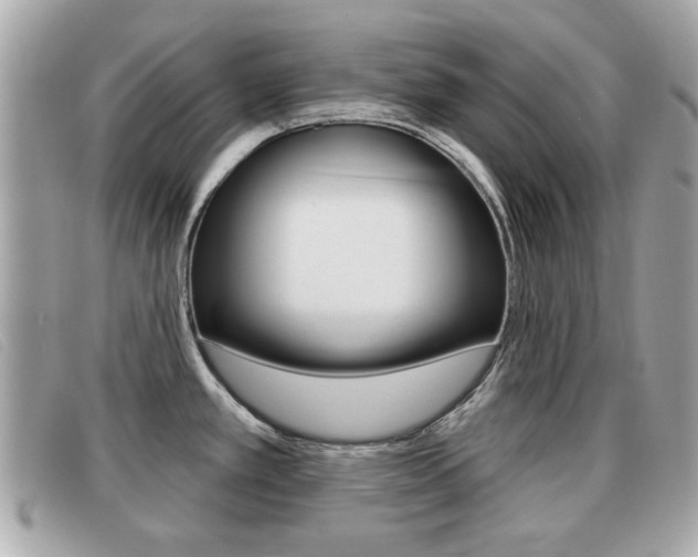 X0000091531389200708170941