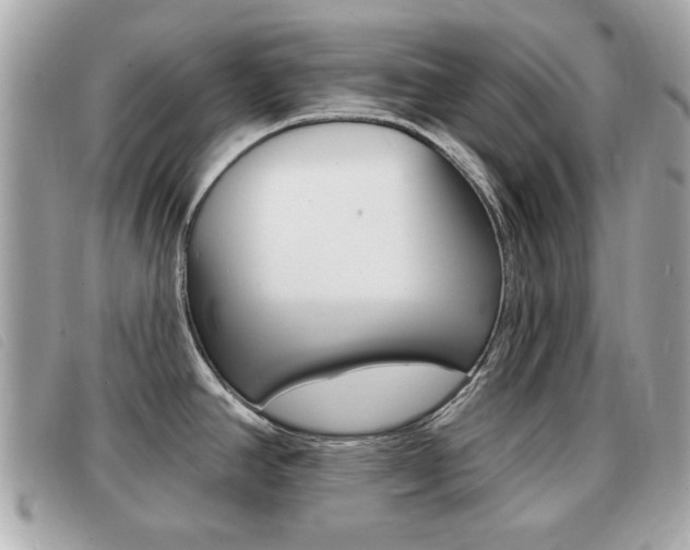 X0000091531390200708170940