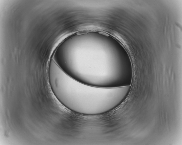 X0000091531392200708170940