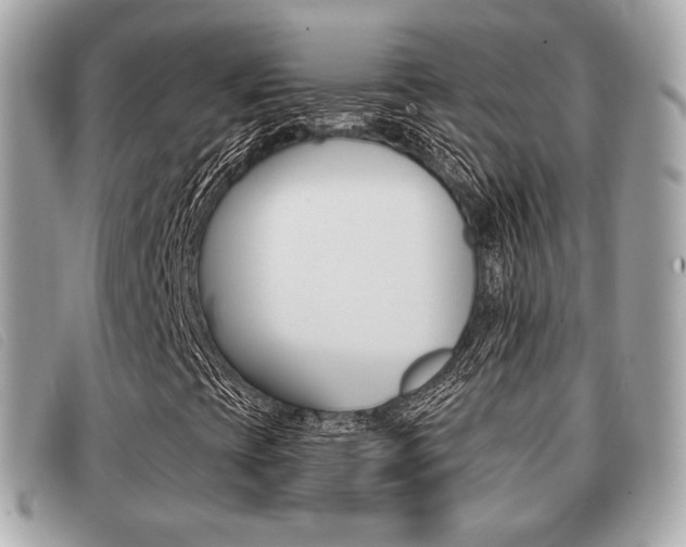 X0000091531393200708170940