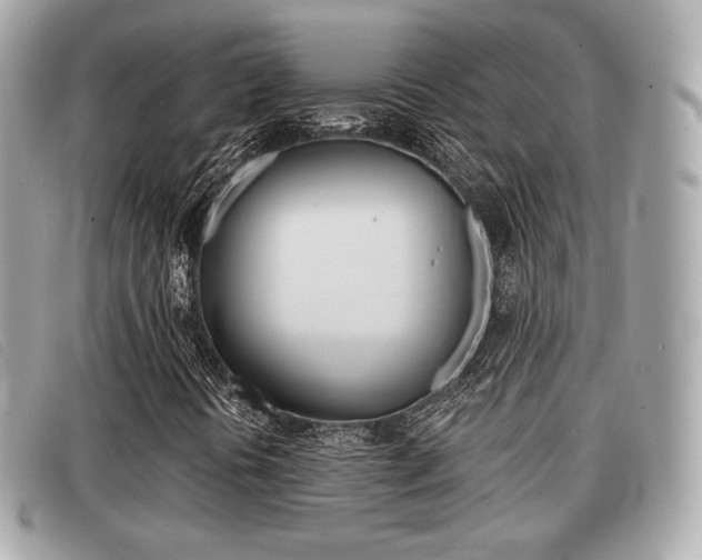 X0000091531394200708170940