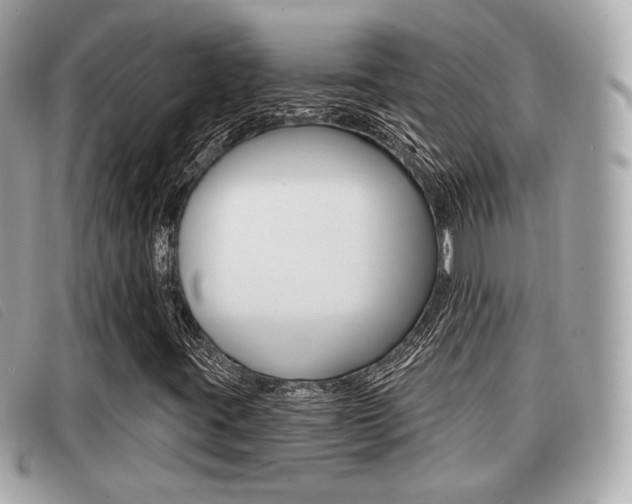 X0000091531395200708170940