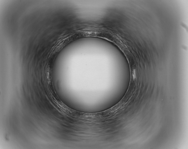 X0000091531396200708170940