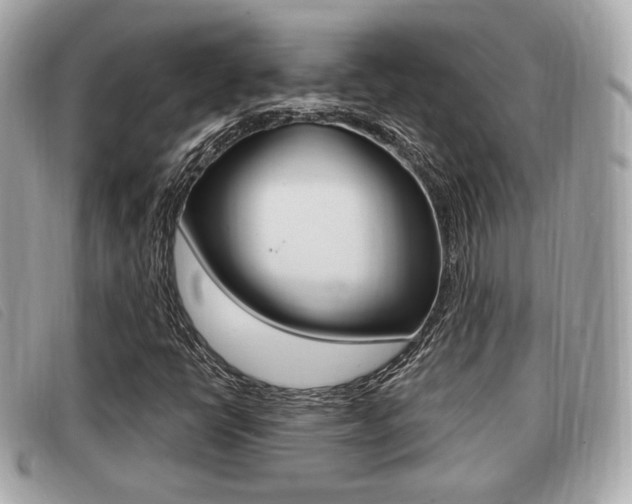X0000091531398200708170940