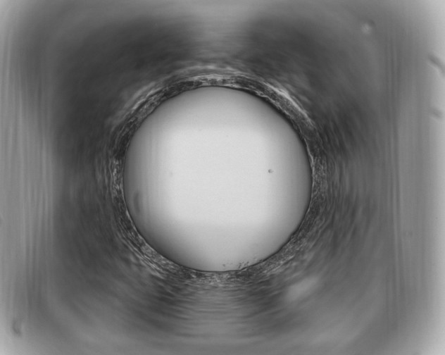 X0000091531399200708170940