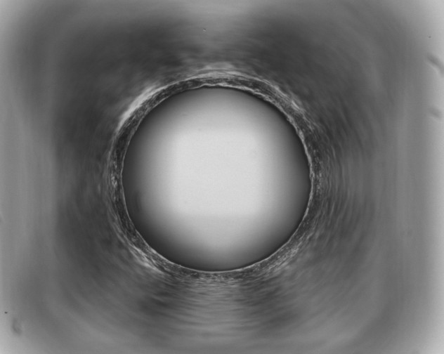 X0000091531400200708170940
