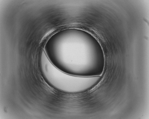 X0000091531402200708170940