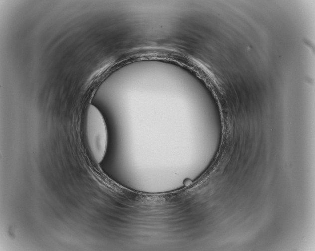 X0000091531403200708170940