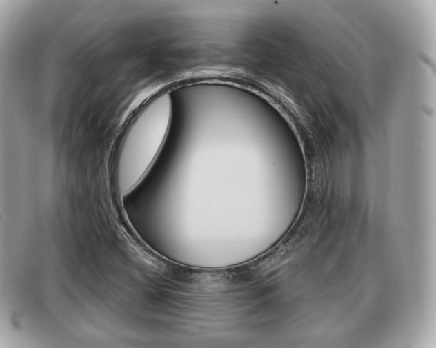 X0000091531404200708170940