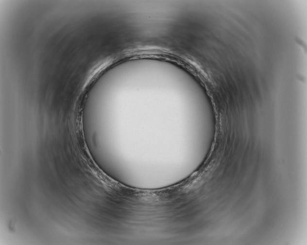 X0000091531405200708170940