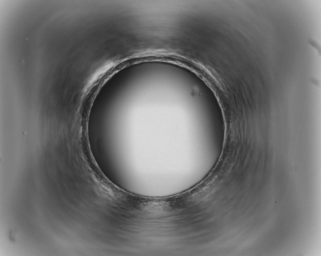 X0000091531406200708170940