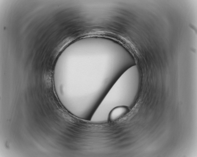 X0000091531409200708170940