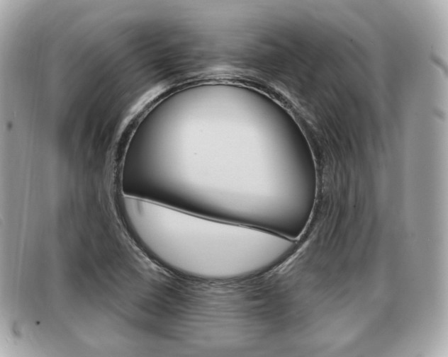 X0000091531410200708170940